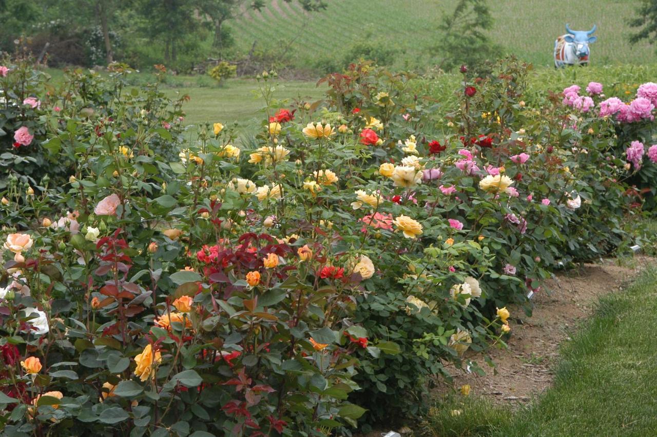 Annville Inn Bed & Breakfast Bagian luar foto