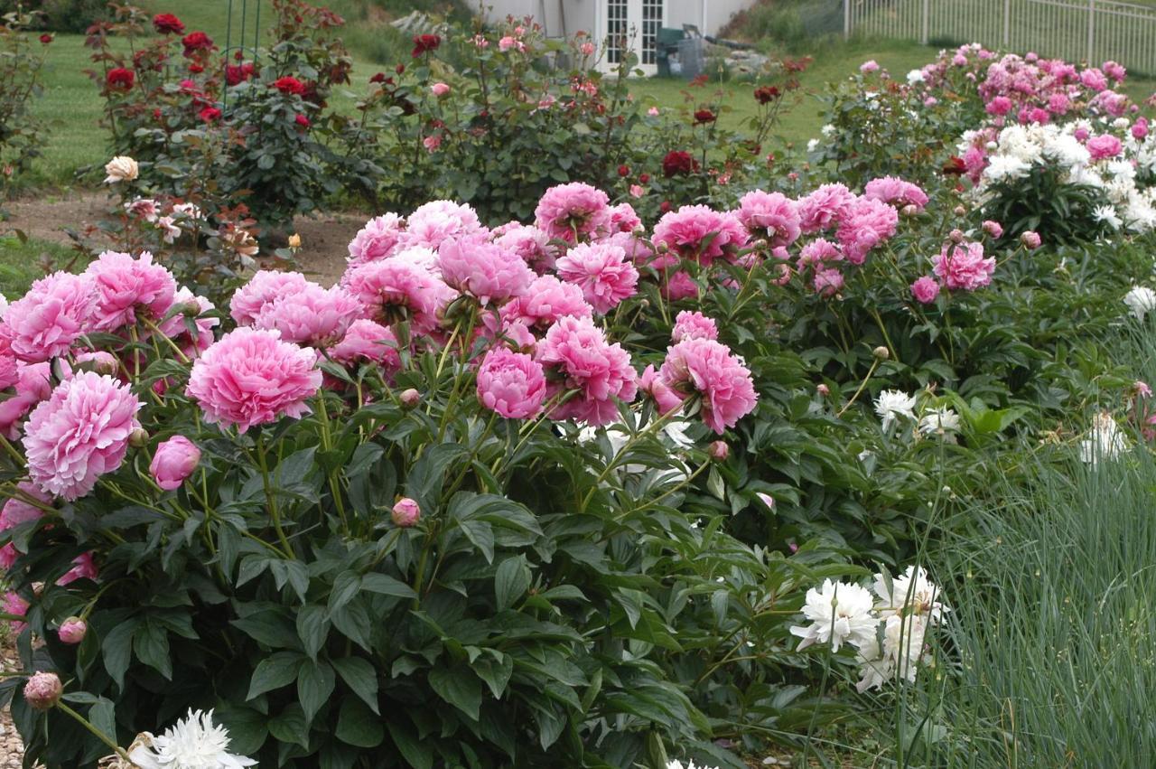Annville Inn Bed & Breakfast Bagian luar foto