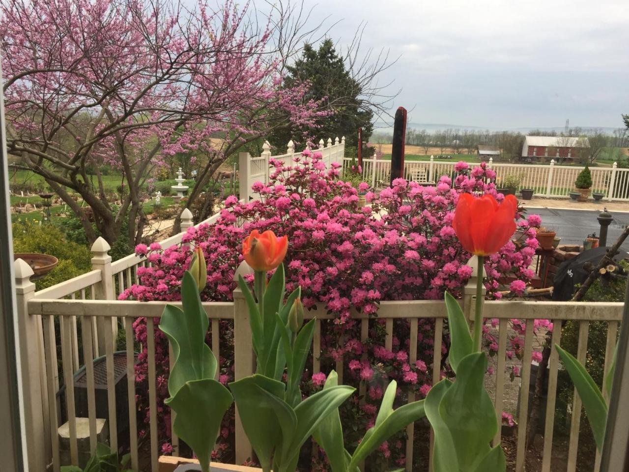 Annville Inn Bed & Breakfast Bagian luar foto